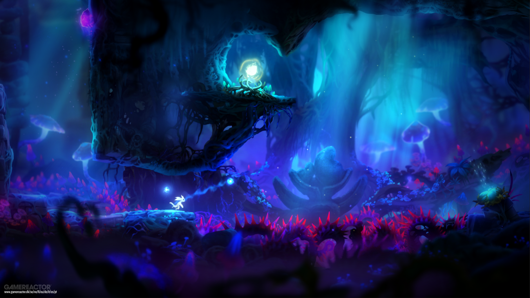 oriblindforest_1693443b.png